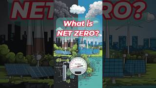 What is NET ZERO ?