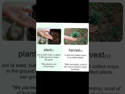 Opposite words #nativeamerican #inglesonline #englishvocabulary #englishlearning #language #speakeng