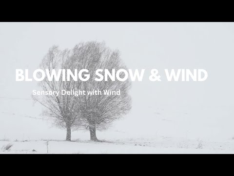 Snow Blowing Scene | Wind Sounds for Sleep & Stress Relief #SnowAmbience #windsoundsforsleeping