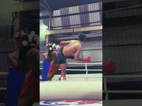 National Kickboxing Highlights | Aniket Agarwal | Kolkata - 2025 #boxing #fighter #kickboxing #mma