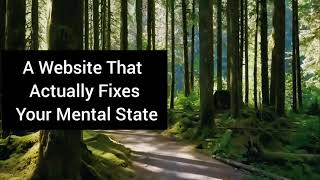 This Website Is Just a Forest and Birds — And It Actually Helps