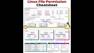 Linux File Permission