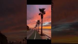 pov : You're a sunset lover 🌇 #shorts #sunset #sunsetlover #sunset_gallery #beachs #jj_ff