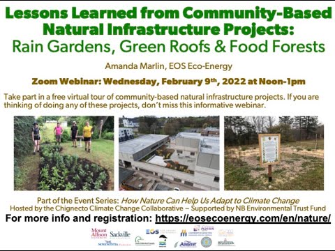 Lessons Learned from Rain Gardens, Green Roofs and Food Forests