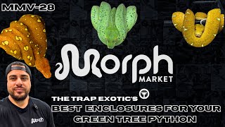 The BEST Enclosure For Your New Green Tree Python