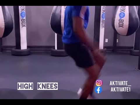 Full Body Home Workout