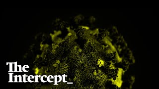 Coronavirus Capitalism — and How to Beat It