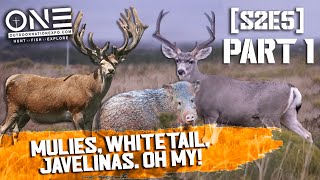 Outdoor Nation TV: Mule Deer, Whitetail, Javalinas and more! PART 1 [S2E5]