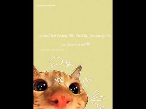 meow! (random video 🧡)