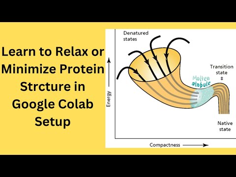 Learn to Relax or Minimize Protein Structure with AMBER Relax in Google Colab?