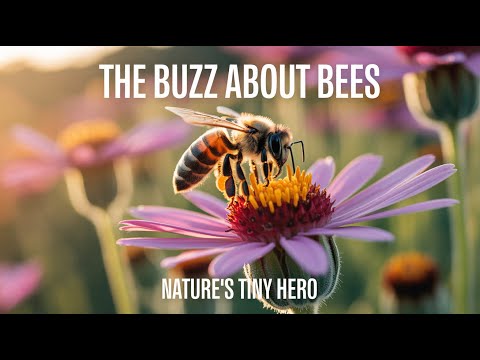 The Buzz About Bees  Nature's Tiny Heroe