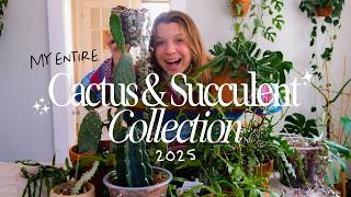 my CACTUS & SUCCULENT collection 🌵 including jungle cacti, string of hearts, euphorbia, & more! 2025