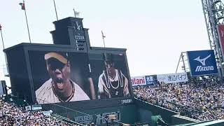 阪神巨人伝統の一戦2025試合前ビジョン