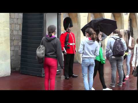 Windsor Guard
