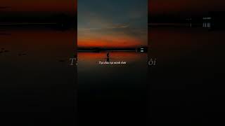 anh đứng trong bên sông. ngày mai ai rước cô dâu #dancatrutinh