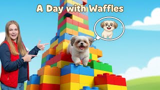 Assistant Presents A Day with Waffles! Funny Dreams, Lego Towers & Doggy Adventures!