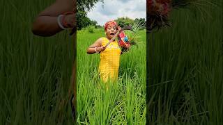 Cow Finish My Rice 😱 🐄 😂 #shorts #funny #comedy #video #trending #viral #shortvideos #cow