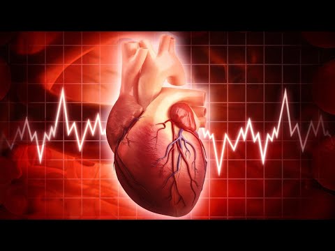 "The Heart of the Matter: Exploring the Human Heart's Mighty Mechanism | Science for All"