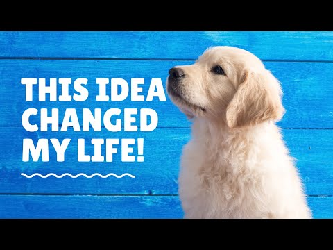 🔥 [NVC] This Idea Changed My Life!  v.2021-01-13