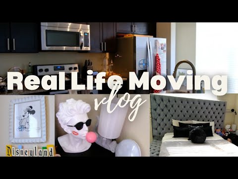 Real Life Moving Vlog Empty Apartment Tour & First Projects!