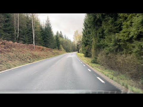 Pleasant Ambient Drive in Wooded Areas - Autumn is Approaching!