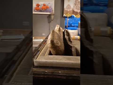 The 1.5 Million Naira Versace Set #lindaikeji #autos #nigeriancars #luxurycars #luxurylifestyle #fyp