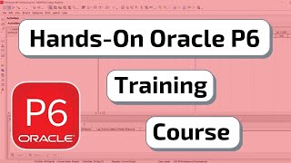 Hands-On Oracle P6 Training