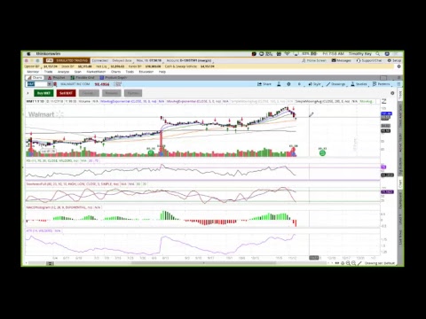 Option Legacy Trading room