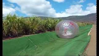 Zipline and Aquaball Adventure with Paradise Eco-Adventures