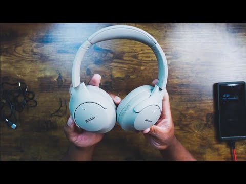 These are worth $40!! Picun Anc 05L Unboxing/ In-dept Review