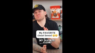 Is the German Shorthaired Pointer the best closet breed dog