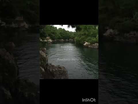 🍀🍃✨❤💞 #edit #nature