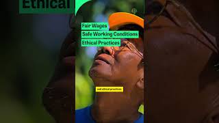 Palms Up - Ethical Practices