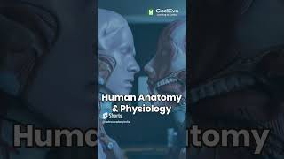 Elevate Your Medical Coading Skills. | Codevo medical coding