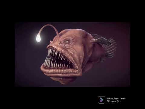 You won’t believe these creatures exist.