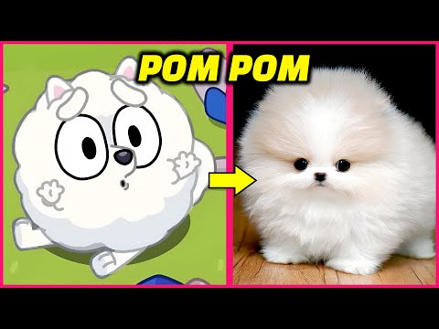 BLUEY Characters in REAL LIFE!