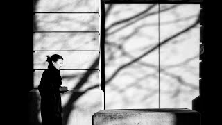 Documenting Life with a Leica M: February 2022