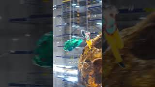 Halsey IS Porcha 👏🏼👏🏼👏🏼 #Sing2 #halsey