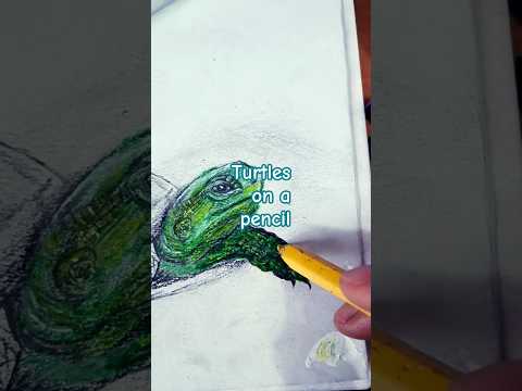 Rescuing a Turtle & Sketching Its Story | Pencil Art