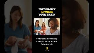 Pregnancy Rewires Your Brain #pregnancybrain  #Pregnancy #BrainScience #Psychologypost