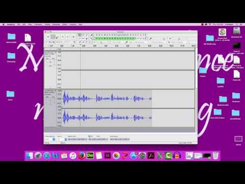 VoiceoverTutorial