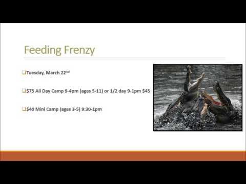 Winter/Spring Camps by ECO ADVENTURES