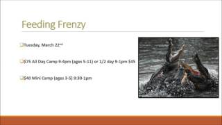 Winter/Spring Camps by ECO ADVENTURES