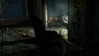 Special Zombie Lore (WaW/BO1)