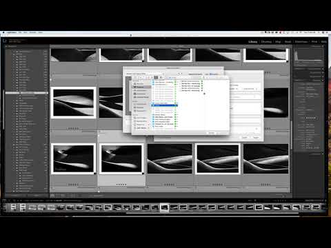 Photologo Export in Lightroom