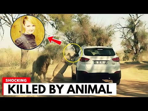 7 Celebrities Who Were Shockingly Killed by Animals – What Happened Will Haunt You