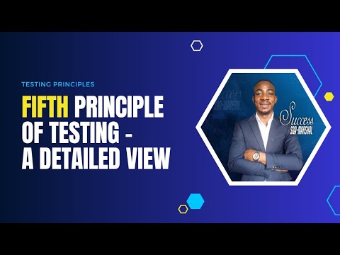 Fifth Principle of Testing - A Detailed View