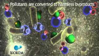 How A Biofilter Works.avi