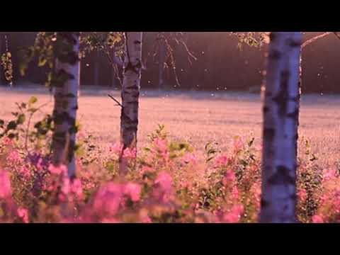 Relaxing Sound for Study, Meditation and sleep