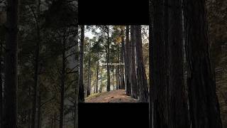 Ranjhe ki heer tu#trending #likeme #viral #nature #viralshortsindia #explore